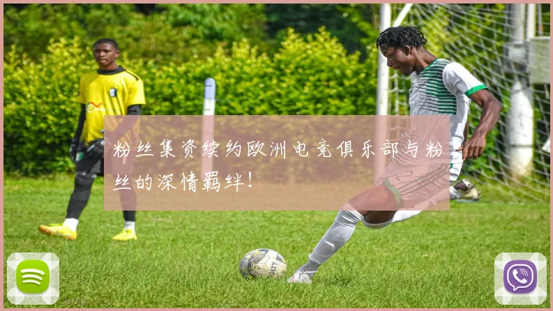 粉丝集资续约欧洲电竞俱乐部与粉丝的深情羁绊！