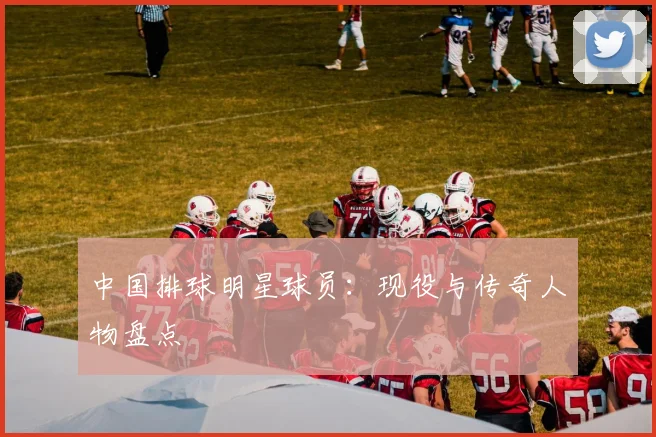 中国排球明星球员:现役与传奇人物盘点