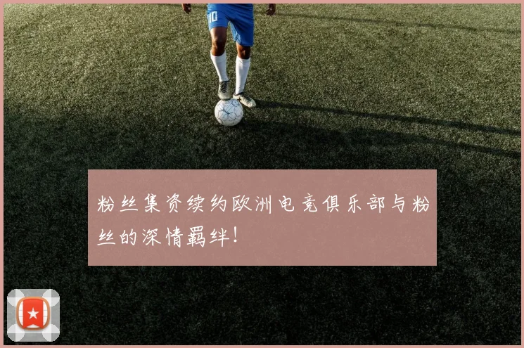 粉丝集资续约欧洲电竞俱乐部与粉丝的深情羁绊！